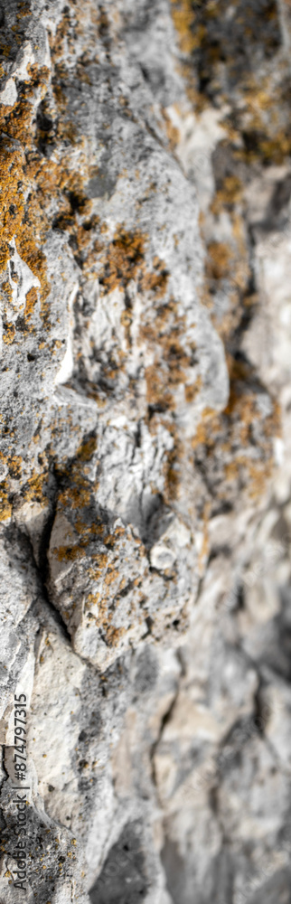 Moss on destroyed concrete, close-up. The structure of moss on stones. Color fantasy on the uneven surface of the remains of a concrete wall. Moss on destroyed concrete, close-up. The structure of moss on stones. Color fantasy on the uneven surface of the remains of a concrete wall.