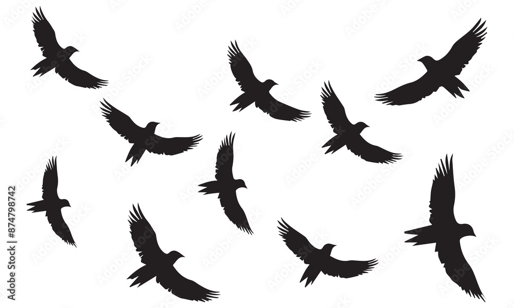 Obraz premium Flying birds silhouettes on white background