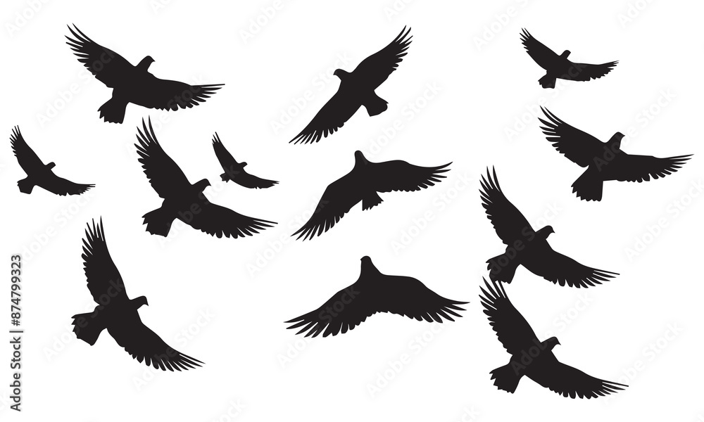 Obraz premium Flying birds silhouettes on white background. Vector illustration. isolated bird flying. tattoo design