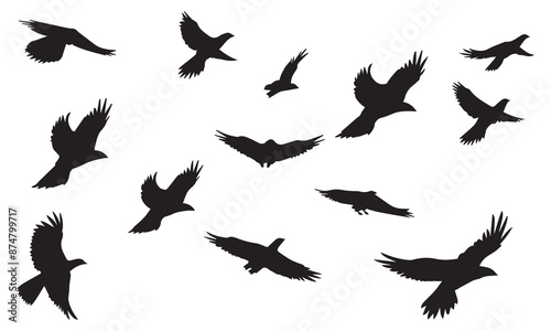 Silhouette Vector Of Condor Flying birds