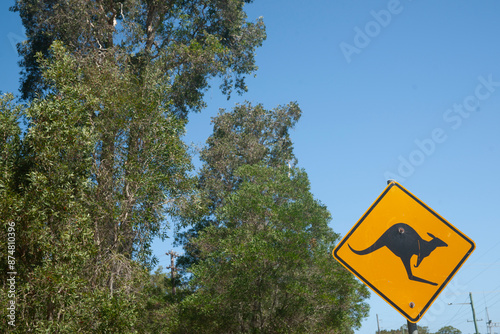 Yellow and black roadside warning sign with kangaroo silhouette photo