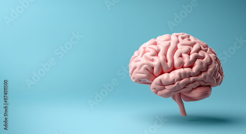 Side view of brain model on light pastel blue background. Generative AI