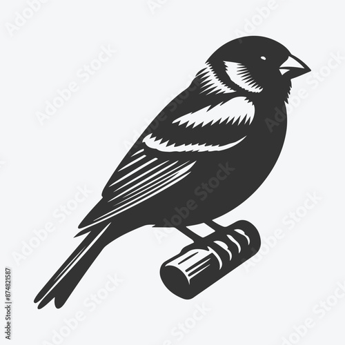 Majestic Finch Silhouette, Capturing the Grace and Elegance in Shadow