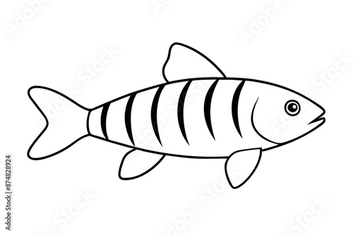 Banded rainbow fish line cut vector illustration.