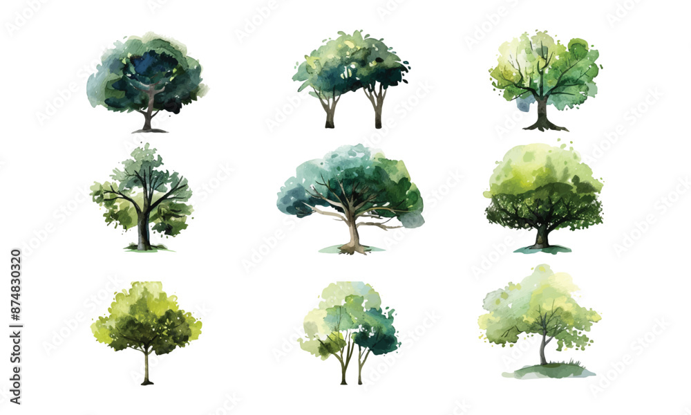 Fototapeta premium collection of watercolor trees vector illustration , hand drawing tree painting , set of graphics trees elements drawing for architecture isolated design