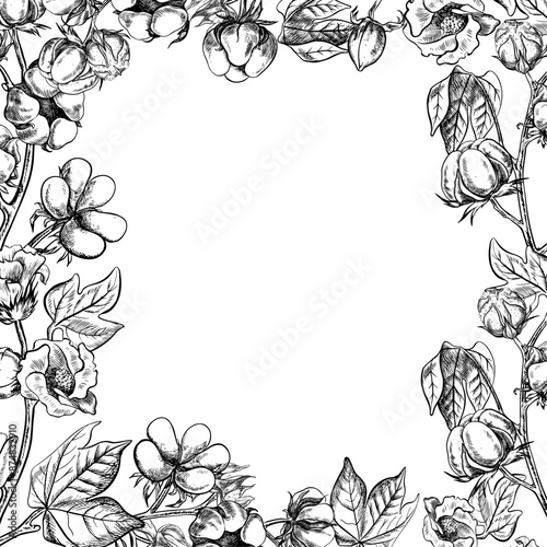 The cotton is organic. A frame with cotton twigs. Black and white, detailed, graphic, vector illustration, hand-drawn, on a white background. For labels, packaging, postcards and posters.