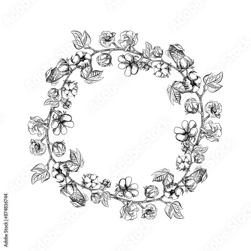 The cotton is organic. The frame is round, with cotton twigs. Black and white, detailed, graphic, vector illustration, hand-drawn, on a white background. For labels, packaging, postcards and posters.