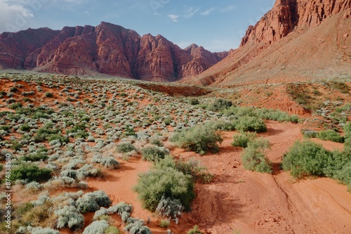Quadro em tela Desert landscapem mountain range, shrubs and wash in Ivins, Utah, United States of America