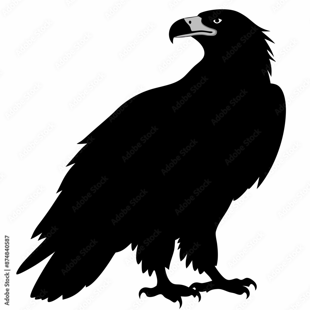 Fototapeta premium Eagle vector illustration, Bird isolated on white, eagle silhouette, Bald Eagle vector art