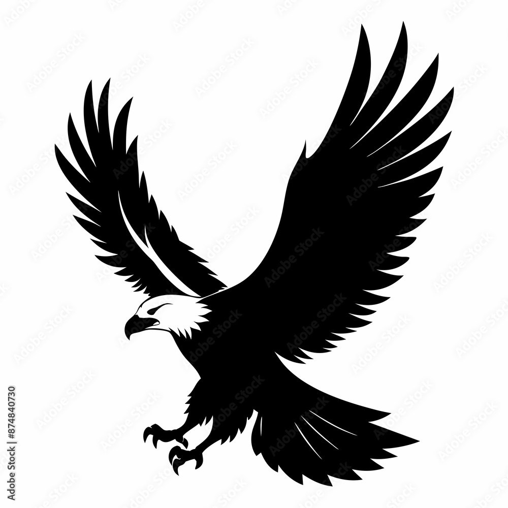 Eagle vector illustration, Bird isolated on white, eagle silhouette, Bald Eagle vector art Eagle vector illustration, Bird isolated on white, eagle silhouette, Bald Eagle vector art