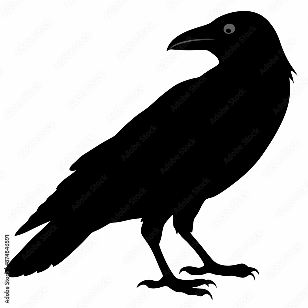 Fototapeta premium Crow vector illustration, bird isolated on white,Crow silhouette, eagle vector art