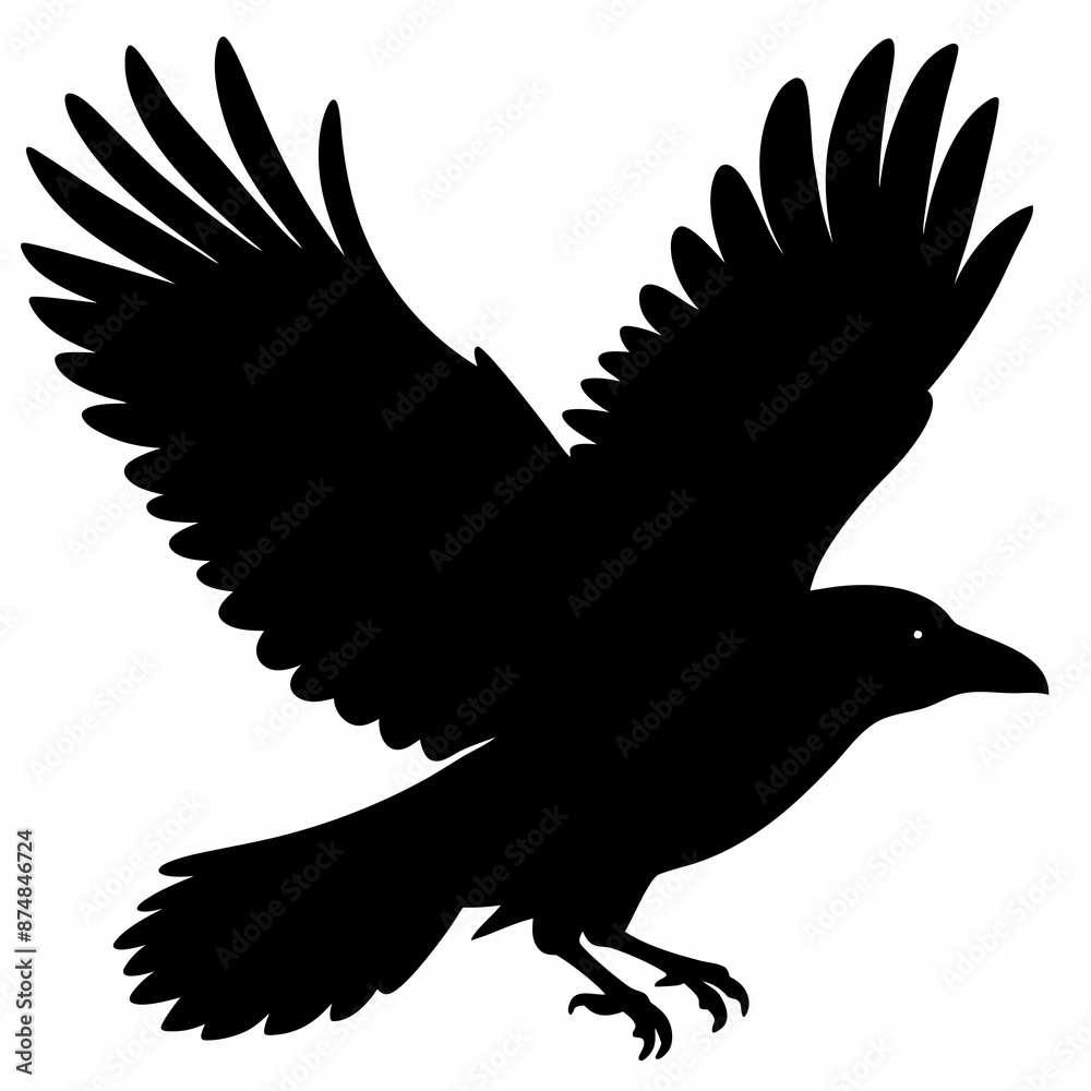 Fototapeta premium Crow vector illustration, bird isolated on white,Crow silhouette, eagle vector art