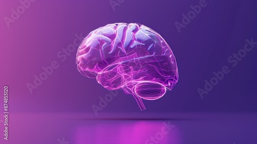 Brain is shown in a purple background. The brain is shown in a way that makes it look like it is floating in the air