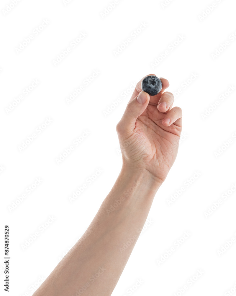Man hand hold big blueberry isolated on white Man hand hold big blueberry isolated on white