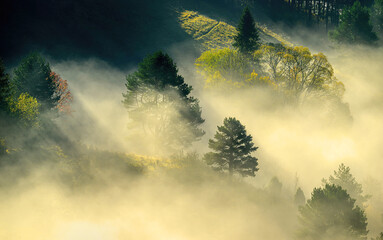 Beautiful foggy morning over the autumn hills