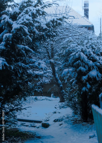 Jardin enneigé avec arbres recouverts de neige en hiver
