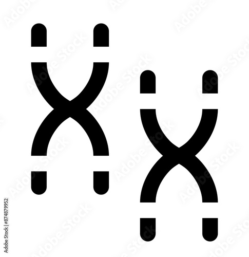 Chromosome icon