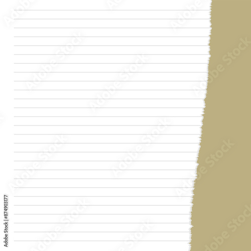 Torn paper with space for your own text. Vector illustration.