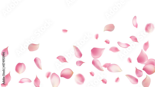 Pink rose petals fall on abstract floral background with gorgeous rose petal greeting card design,Flower flying background,cherry blossom