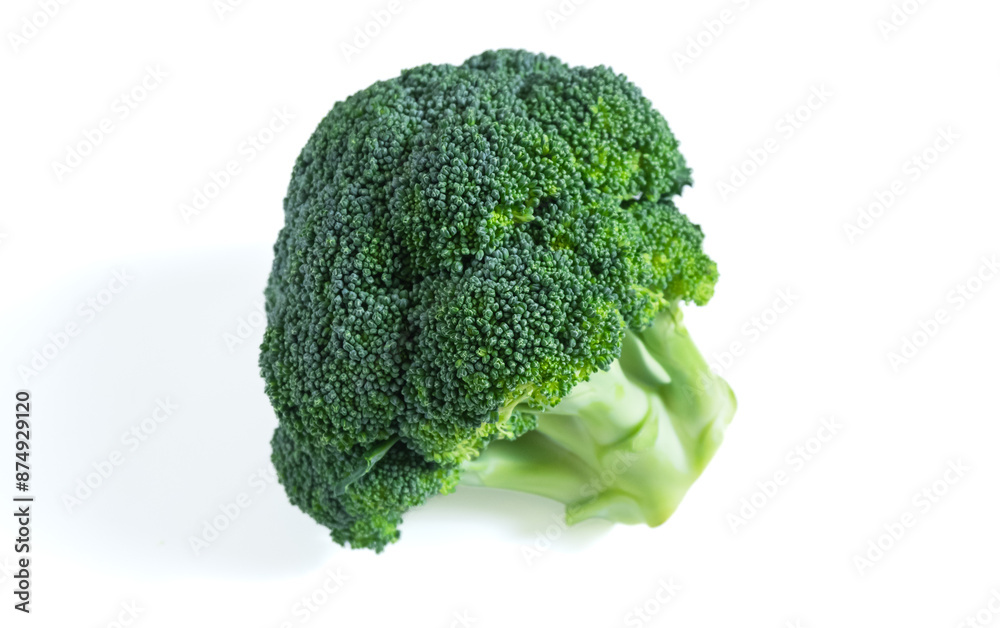 Fresh Broccoli isolated on white background. Fresh Broccoli isolated on white background.