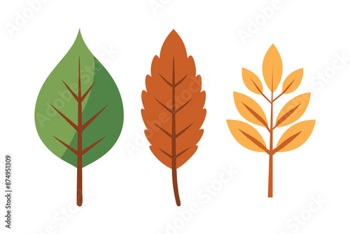 dry leaf plant flat vector set illustration. © Graphic toons
