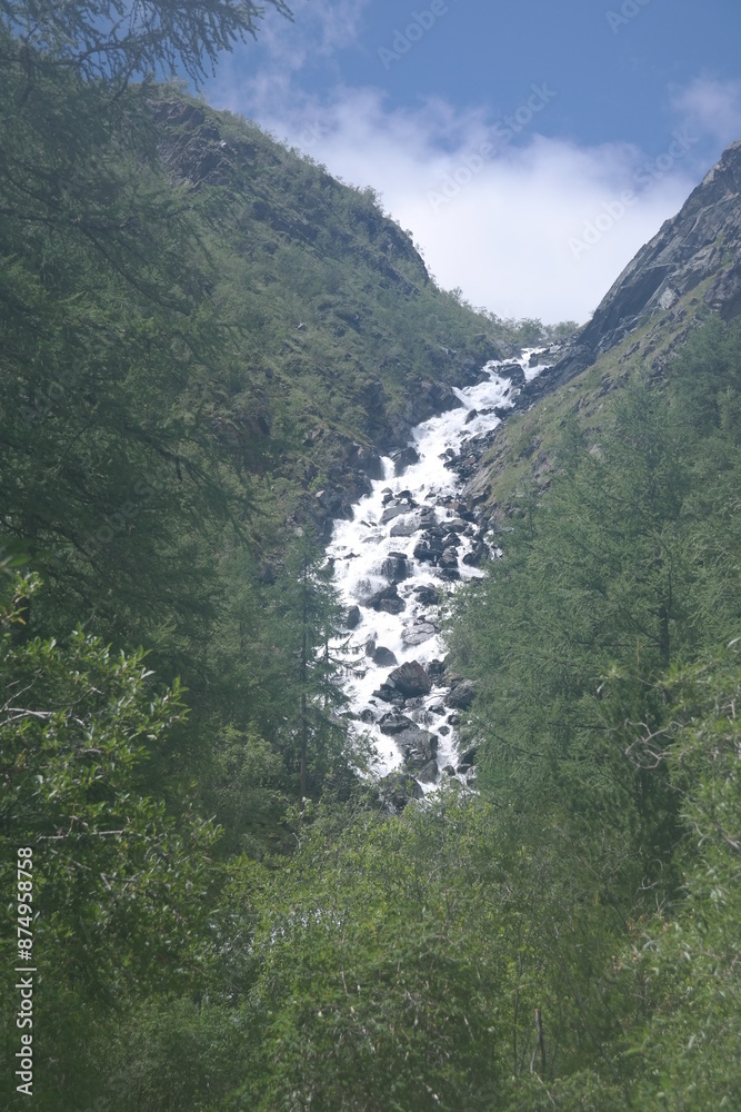 The mountain river flows through a valley with dense coniferous forest on the slopes under the blue sky with white clouds. The river is in the foreground, and the forest is in the background. The mountain river flows through a valley with dense coniferous forest on the slopes under the blue sky with white clouds. The river is in the foreground, and the forest is in the background.
