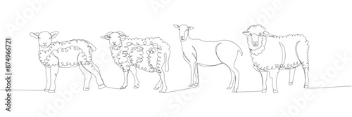 sheep set, ram, livestock one line art. Continuous line drawing of farm, nature, agriculture, farm animals, rural life, ranch.