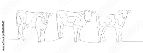 calf set, bull, livestock, cattle, one line art. Continuous line drawing of farm, nature, agriculture, farm animals, rural life, ranch.