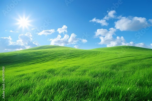 Green Meadow under a Blue Sky