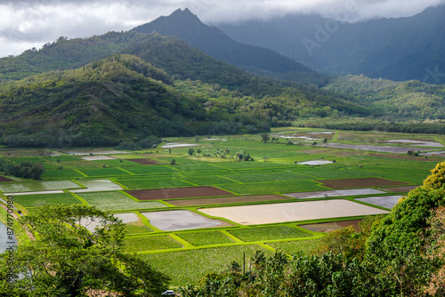Hanalei Valley