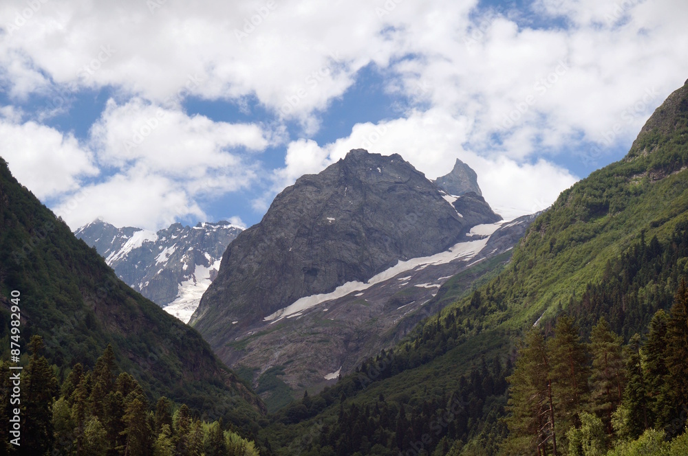 Fototapeta premium Beautiful natural landscape with trees and mountains.
