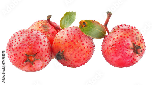 Sweet mayhaws isolated on white background, whole and close-up photo