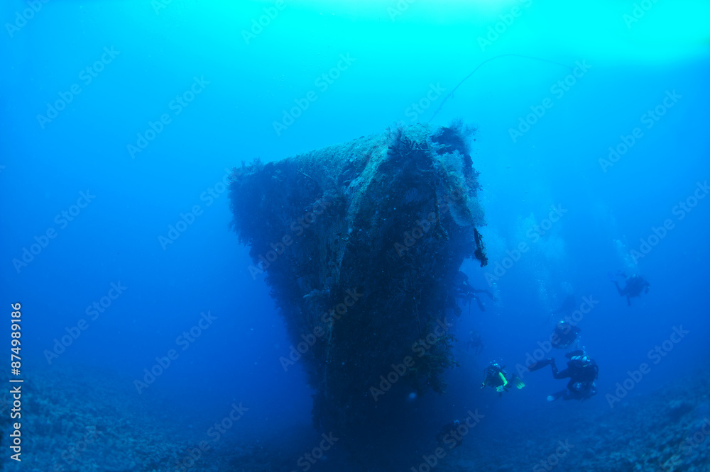 Fototapeta premium scuba diver