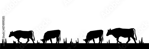 Cows grazing on a farmland, silhouette black and white background vector illustration
