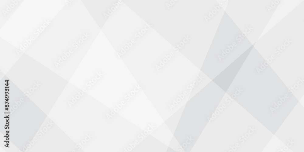 Obraz premium Abstract background with white and gray and geometric style with simple lines and corners with triangles shape design. Banner web template abstract white square shape with futuristic shape design