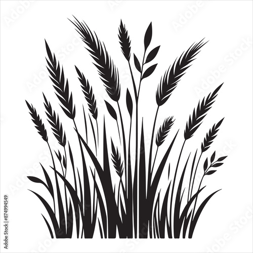 Grass leaves silhouette, vector black color silhouette, black color silhouette 