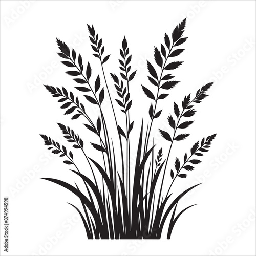 Grass leaves silhouette, vector black color silhouette, black color silhouette