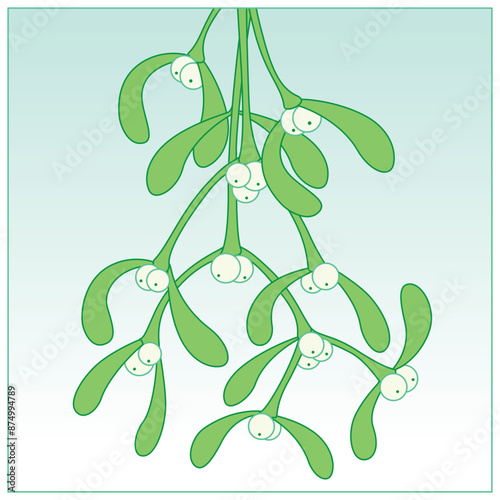 Hanging Bouquet of Festive Mistletoe on a cool background