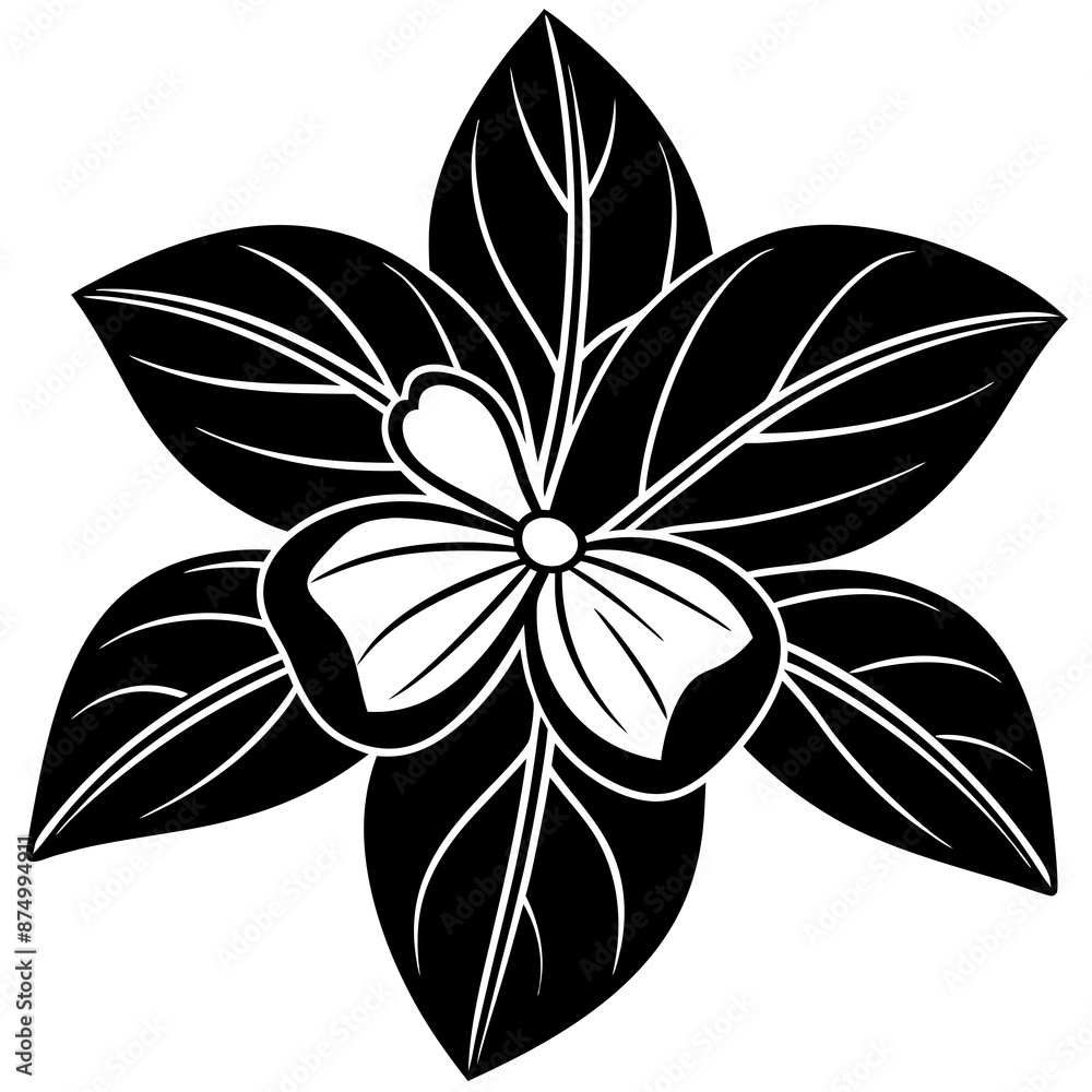 Fototapeta premium black and white flower illustration