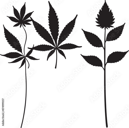 Pot leaf vector illustration