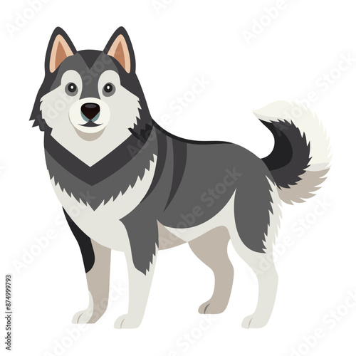 vector Alaskan Malamute dog, side profile, thick grey and white fur, bushy tail