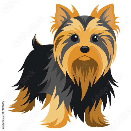 australian silky terrier dog vector illustration, black and tan coat, pointed ears