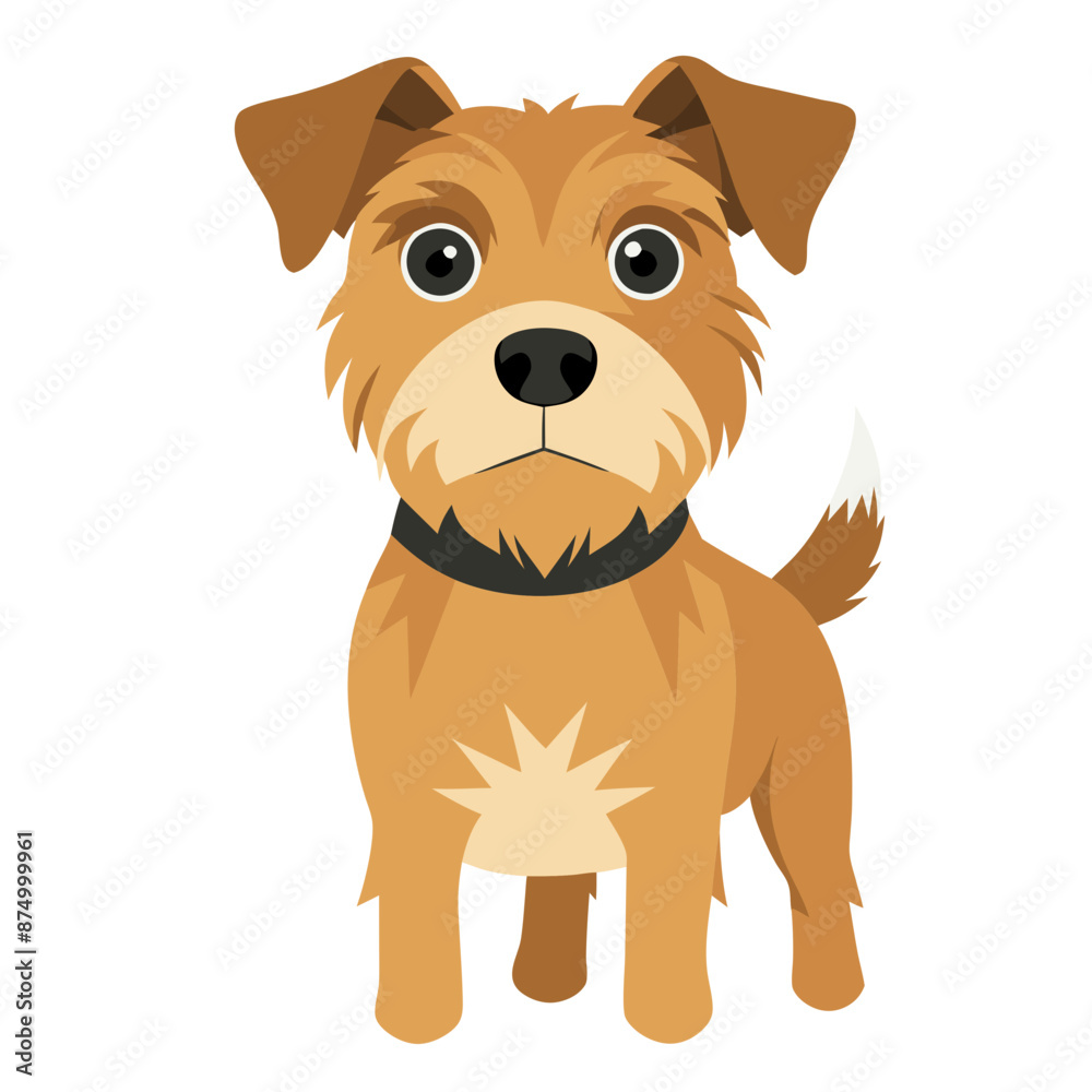 Fototapeta premium vector Border Terrier dog, brown, cream, creative projects, pets, animals, graphic design
