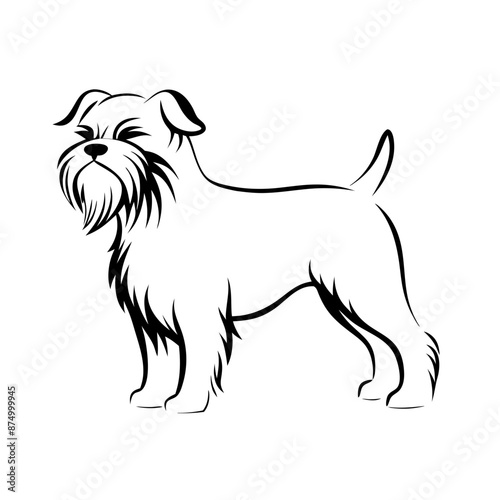 vector line drawing affenpinscher, furry face, confident stance