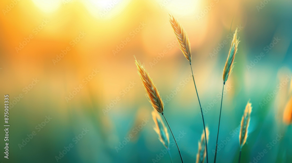 Serene sunset field landscape with yellow flowers and grass bathed in golden hour light. Idyllic nature closeup with blurred forest background. Serene sunset field landscape with yellow flowers and grass bathed in golden hour light. Idyllic nature closeup with blurred forest background.
