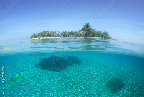 a beautiful island and its coral reef