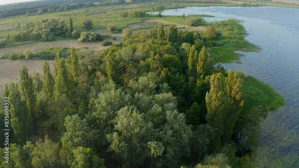 Aerial view of coastline covered with dense forests. Flight over green trees on summer day. Nature landscape Aerial view of coastline covered with dense forests. Flight over green trees on summer day. Nature landscape