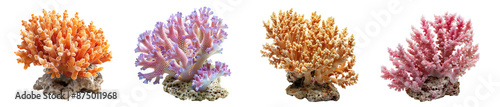 Colorful coral reefs underwater marine life vibrant ocean ecosystem transparent background