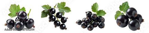Blackcurrant berries with green leaves fresh organic fruit transparent background