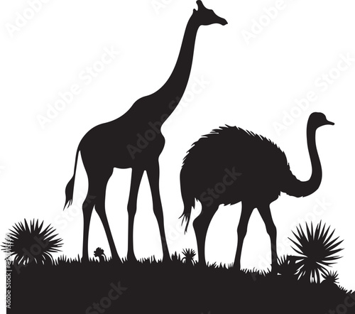Black silhouette of ostrich, giraffe and trees, vector black color silhouette